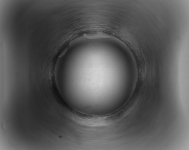 X0000089450032200706151439