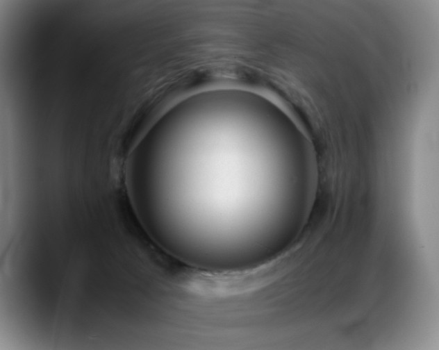 X0000089450033200706151439