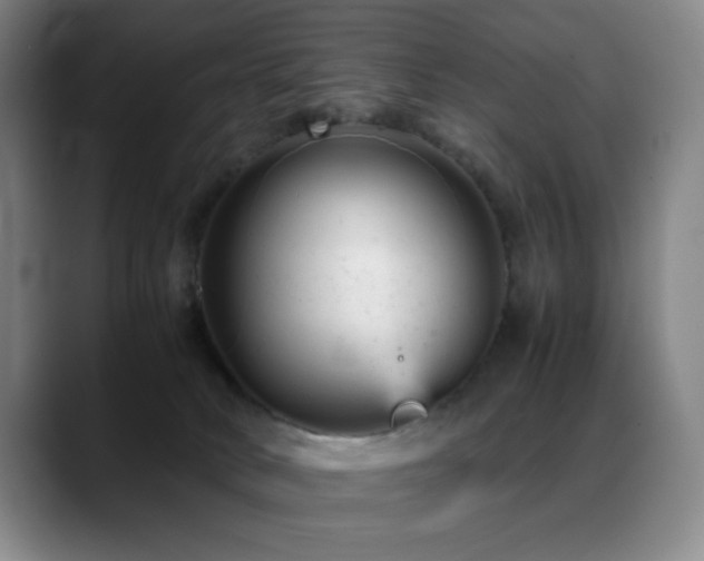 X0000089450034200706151439