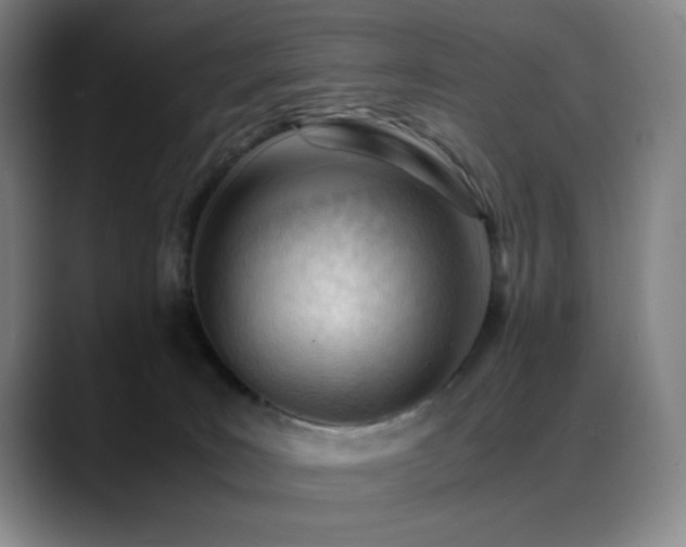 X0000089450035200706151439