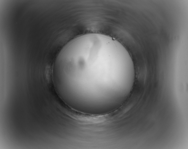X0000089450036200706151439