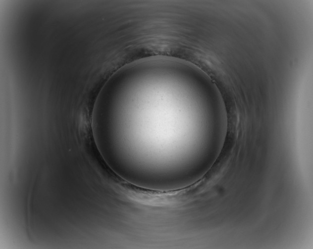 X0000089450040200706151439