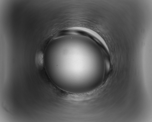 X0000089450041200706151439
