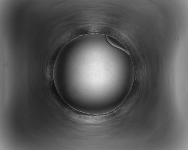 X0000089450044200706151439