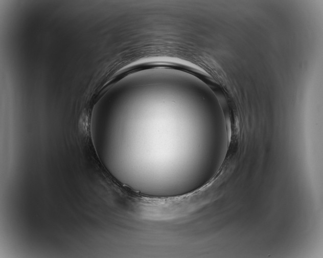 X0000089450045200706151439