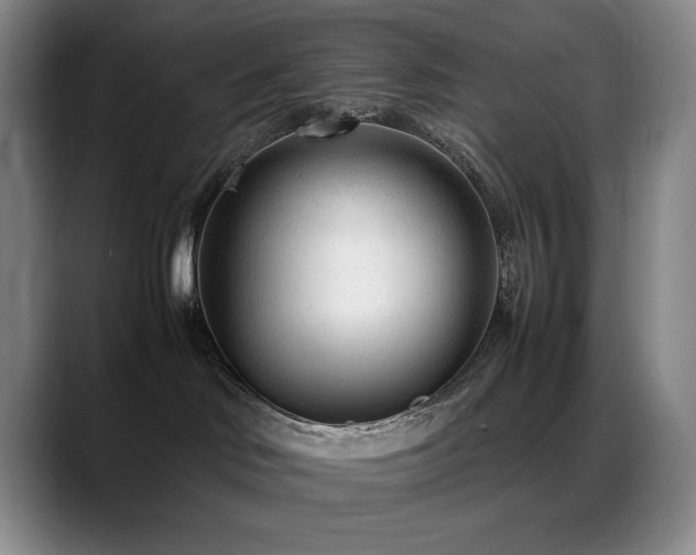 X0000089450046200706151439