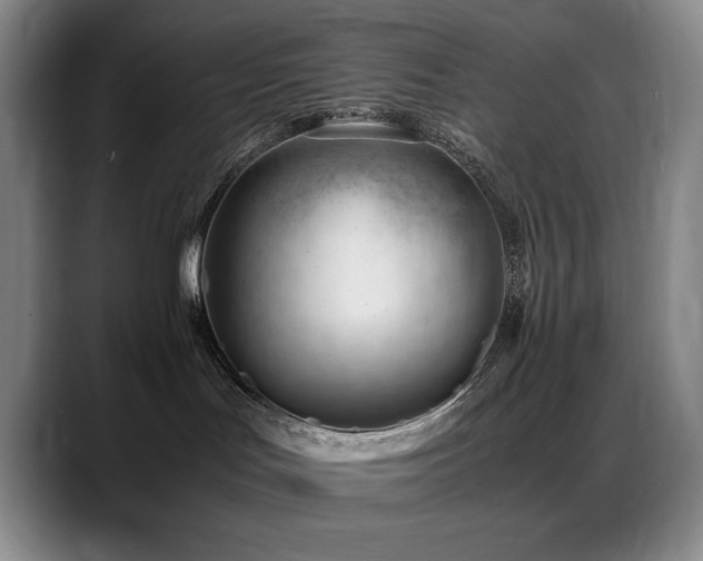 X0000089450047200706151439