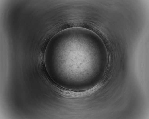 X0000089450048200706151439