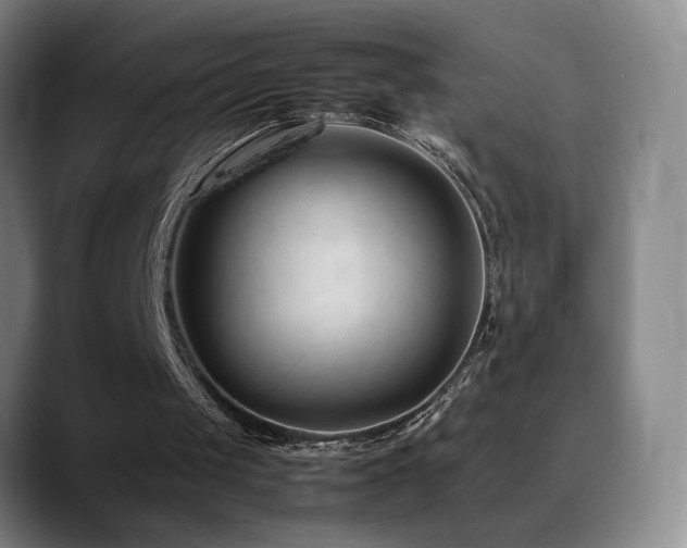 X0000089450049200706151439