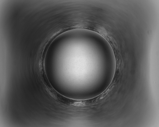 X0000089450050200706151439