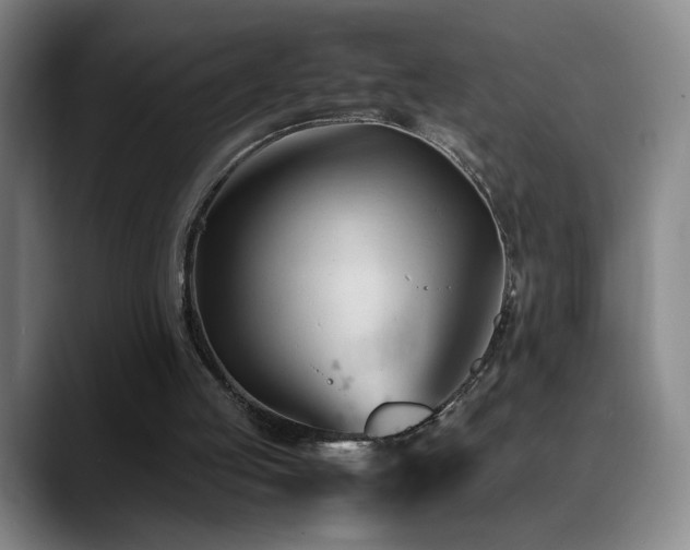 X0000089450053200706151439