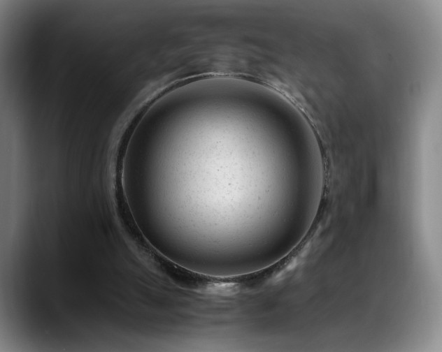 X0000089450055200706151439