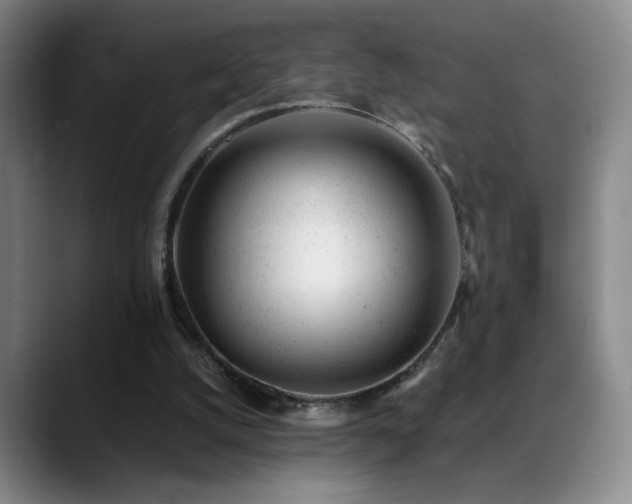 X0000089450056200706151439