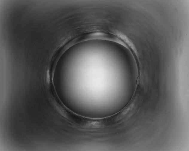 X0000089450057200706151439
