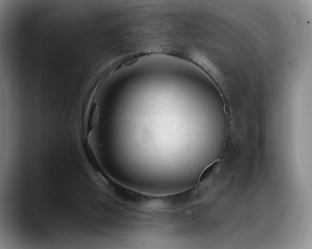 X0000089450058200706151439