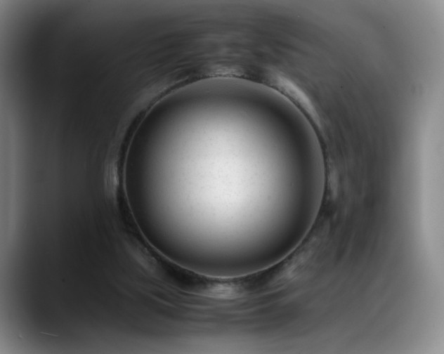 X0000089450059200706151439