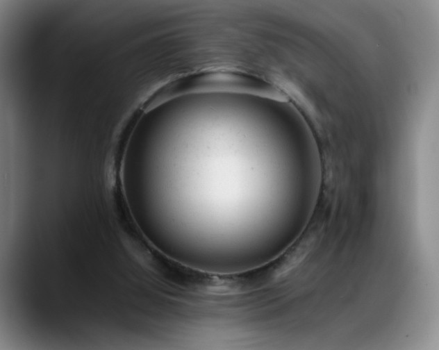 X0000089450060200706151439