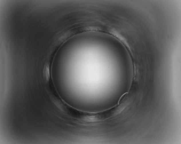 X0000089450061200706151439