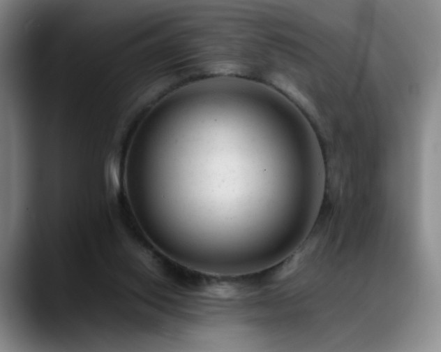 X0000089450062200706151439