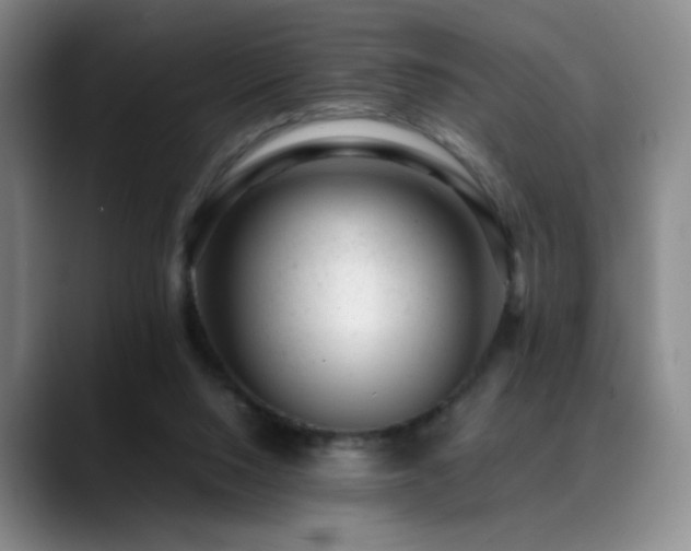 X0000089450064200706151439