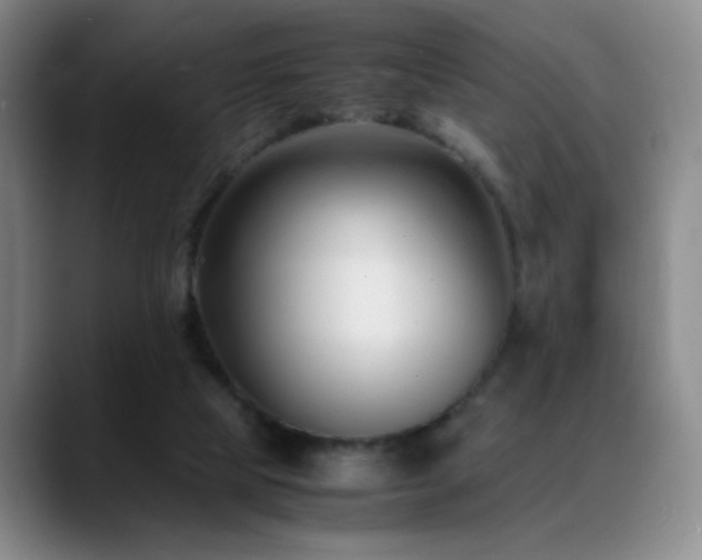 X0000089450065200706151439