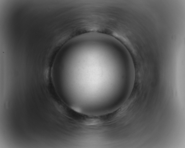 X0000089450066200706151439