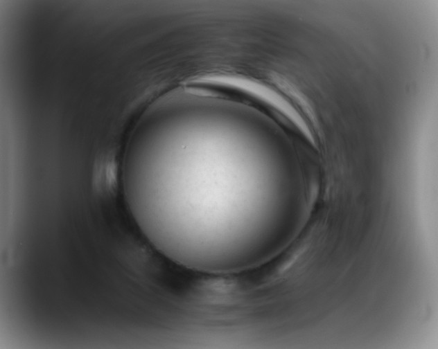 X0000089450067200706151439