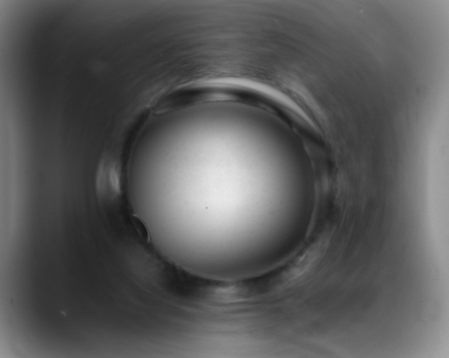 X0000089450068200706151439