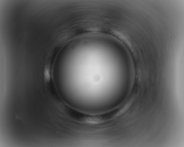 X0000089450069200706151439