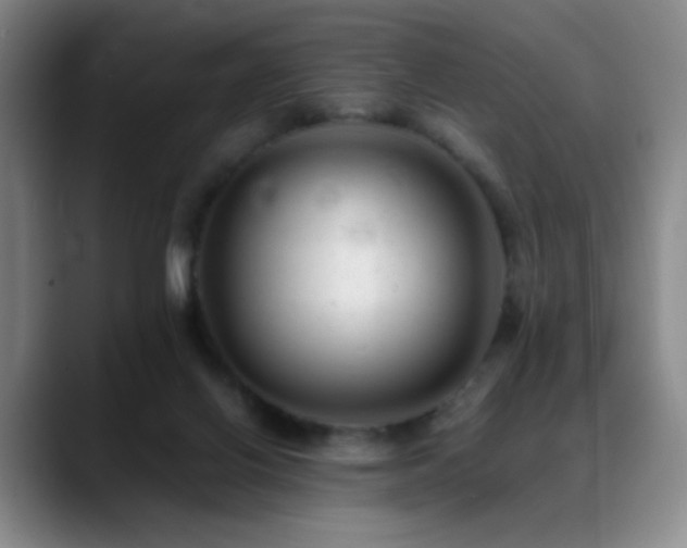 X0000089450070200706151439