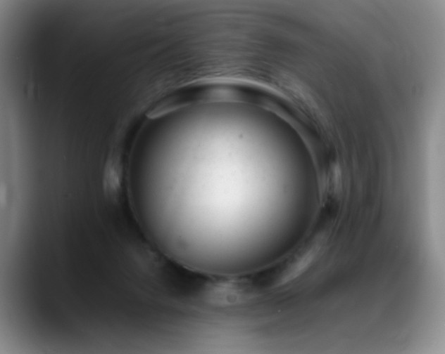 X0000089450072200706151439