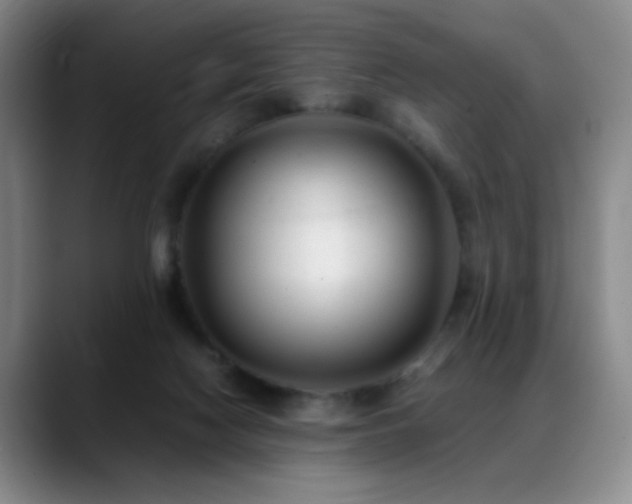 X0000089450074200706151439