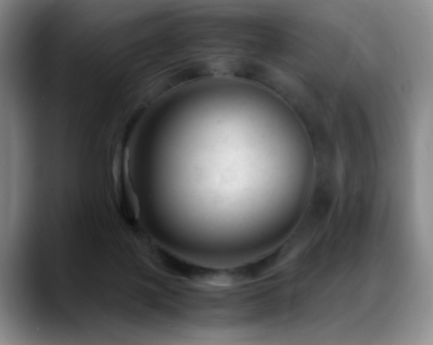 X0000089450075200706151439