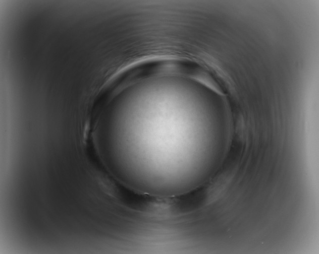 X0000089450076200706151439