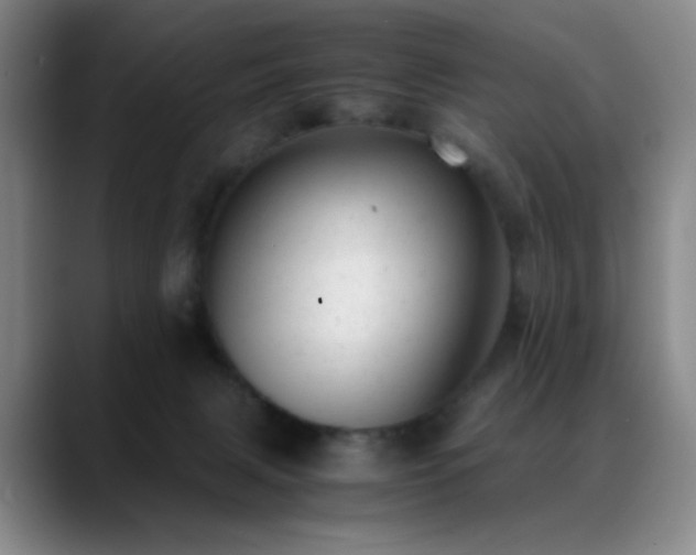 X0000089450079200706151439