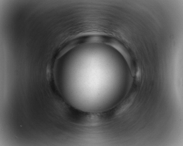 X0000089450080200706151439