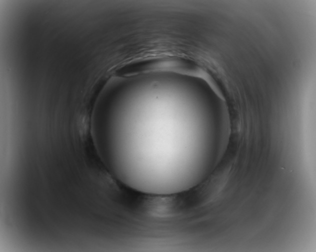 X0000089450081200706151439