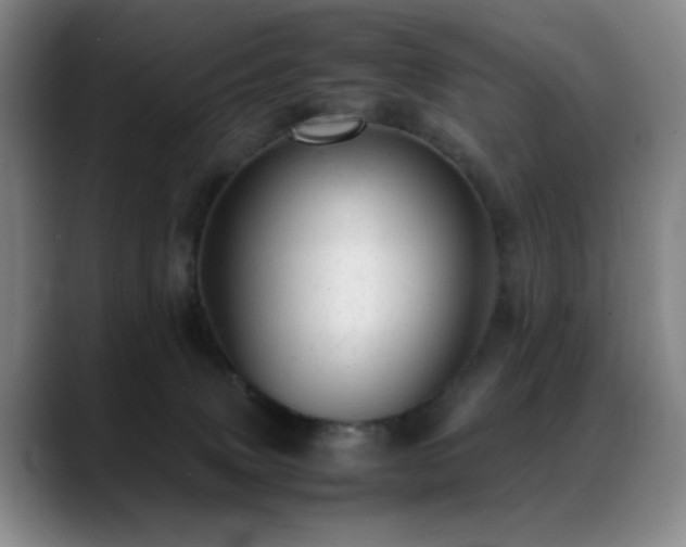 X0000089450083200706151439