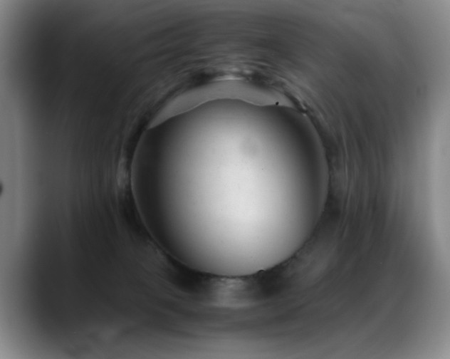 X0000089450085200706151439