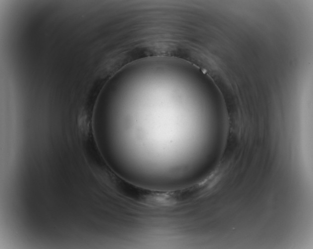 X0000089450086200706151439