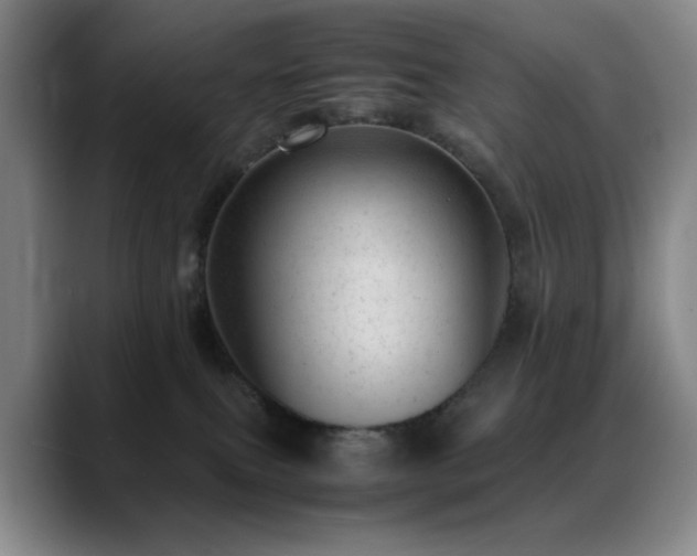 X0000089450087200706151439