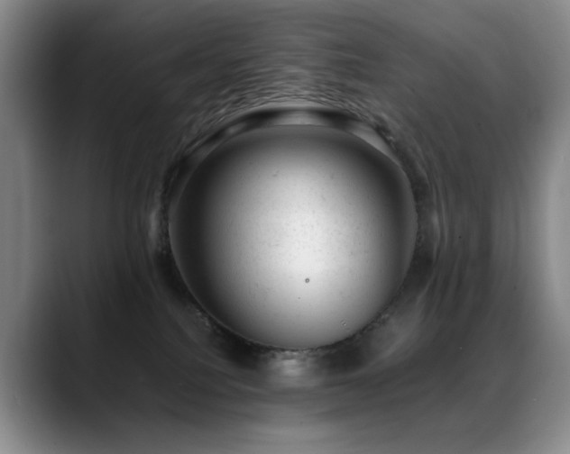X0000089450088200706151439