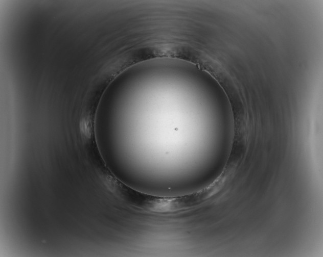 X0000089450090200706151439