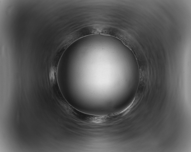 X0000089450094200706151439