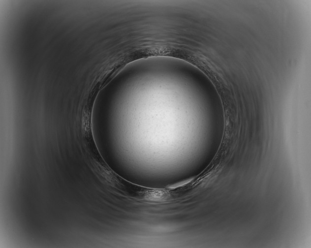 X0000089450096200706151439