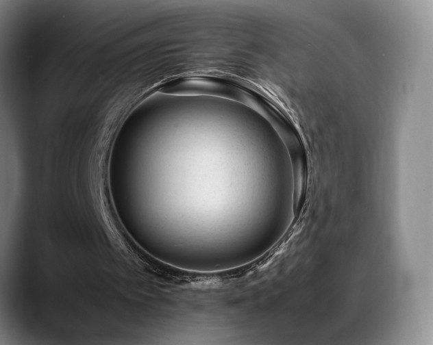 X0000089450097200706151439