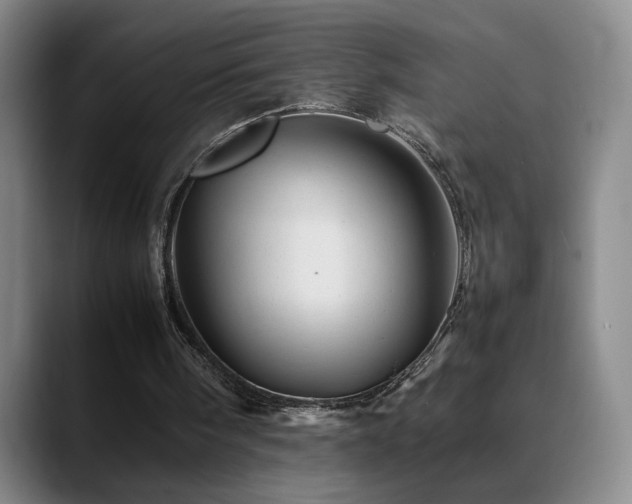 X0000089450098200706151439