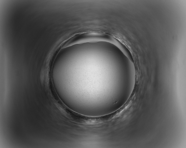 X0000089450101200706151439