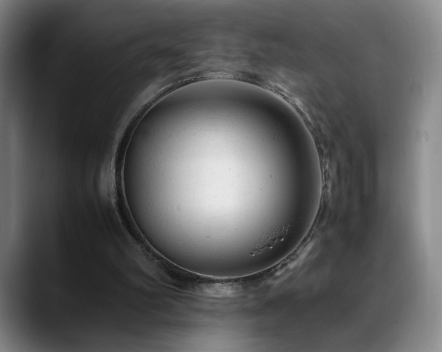 X0000089450102200706151439