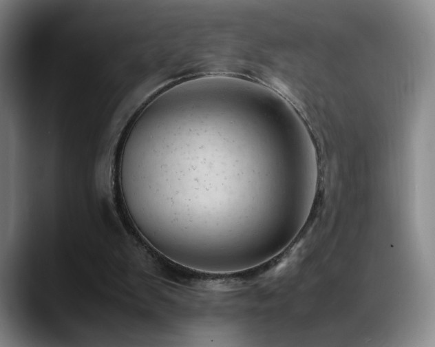 X0000089450103200706151439